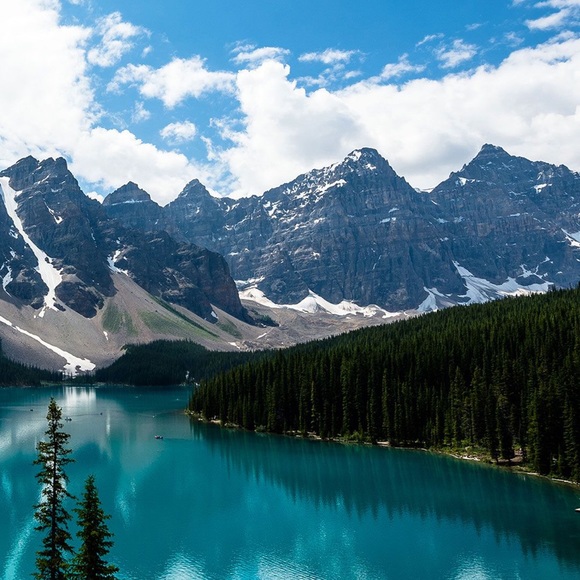 Meet your Posher, Aman - Picture 1 of 1